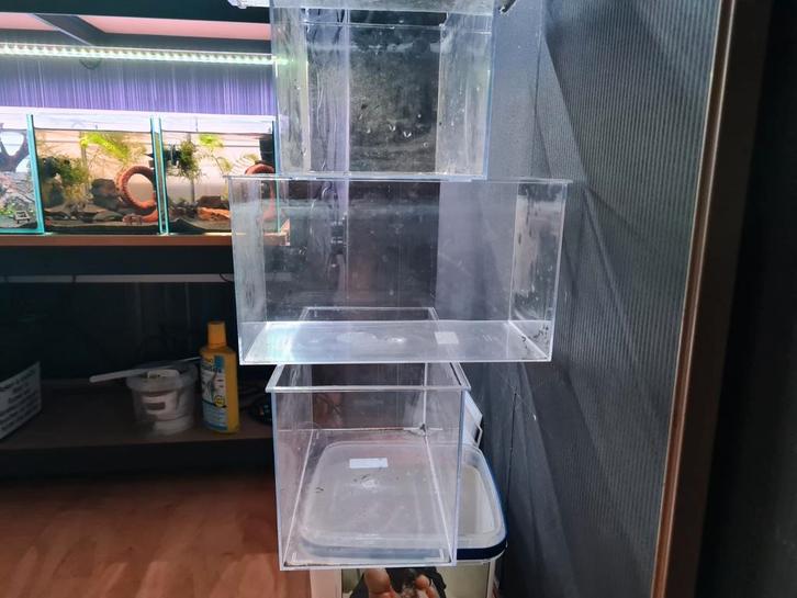 Te koop! Kweekbak / aquarium / terrarium kunststof, Dieren en Toebehoren, Reptielen en Amfibieën | Toebehoren, Zo goed als nieuw