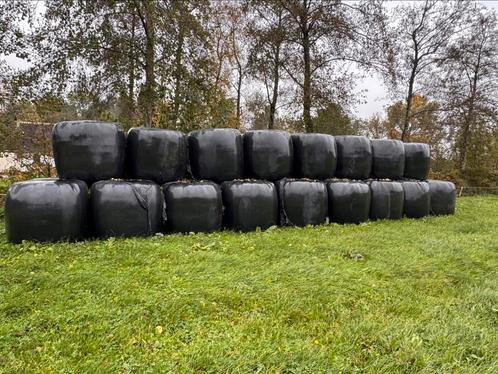 Ronde hooibalen kuilbalen gesxhikt voor paarden & pony’s, Dieren en Toebehoren, Dierenvoeding, Vee, Ophalen