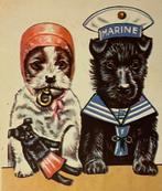 hond Schotse Terrier SCOTTISH TERRIER black en white puppy, Verzenden, 1920 tot 1940, Ongelopen, Overige thema's