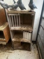 Broedhokken voor duiven, Dieren en Toebehoren, Ophalen of Verzenden, Gebruikt, Hout, Broedkooi of Kweekkooi