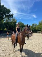 Bijrijder aangeboden!, Dieren en Toebehoren, Ophalen, Zo goed als nieuw