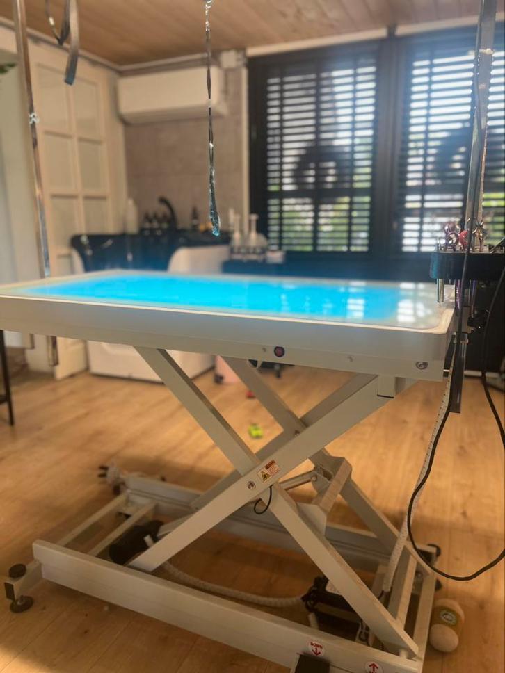 Trimtafel in hoogte verstelbaar met licht, Dieren en Toebehoren, Honden-accessoires, Zo goed als nieuw, Ophalen