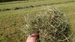 Grote balen voordroog hooi, Dieren en Toebehoren, Dierenvoeding, Ophalen of Verzenden, Vee