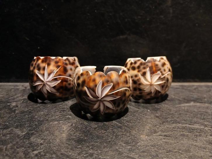 Tijgerkauri Schelpen Servetringen - Set van 3, Huis en Inrichting, Woonaccessoires | Kandelaars en Kaarsen, Nieuw, Minder dan 25 cm