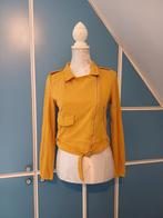 Jasje van Pretty Little Thing, maat 36, Geel, Ophalen of Verzenden, Gedragen, Pretty Little Thing