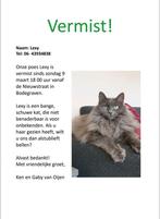 Lexy vermist in Bodegraven, Dieren en Toebehoren
