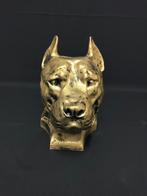 Pitbull kop brons gekleurd. Urn, Ophalen of Verzenden, Nieuw, Dier