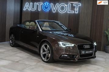 Audi A5 Cabriolet 1.8 TFSI Pro Line beschikbaar voor biedingen