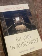 Bij Ons in Auschwitz - Arnon Grunberg - Nette Staat, Ophalen of Verzenden, 20e eeuw of later, Gelezen