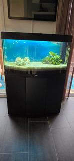 Compleet aquarium  3 maand oud ps ik heb er geen verstandvan, Dieren en Toebehoren, Ophalen, Zo goed als nieuw, Gevuld zoetwateraquarium