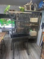 3 x groote Amazone vogel kooi, Ophalen, Zo goed als nieuw, Metaal, Vogelkooi