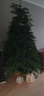 Kerstboom, Ophalen, Zo goed als nieuw