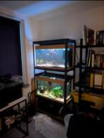 2 x Juwel rio 125, Ophalen, Leeg aquarium