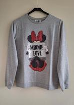 Trui/sweater Minnie Mouse maat 158, Meisje, Trui of Vest, Ophalen of Verzenden, Zo goed als nieuw