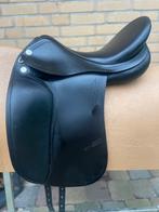 Mooi prestige roma dressage Gratis passervice bij aanschaf, Dieren en Toebehoren, Zeeasterweg, Ophalen of Verzenden, Ck, Kelly@schuuring.net