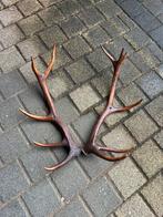 Geweien, Ophalen, Zo goed als nieuw, Paard, Beeldje of Figuurtje