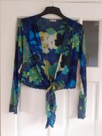 Didi kleurrijk vestje groen- turquoise- blauw maat XXL, Overige kleuren, Maat 46/48 (XL) of groter, Didi, Ophalen of Verzenden
