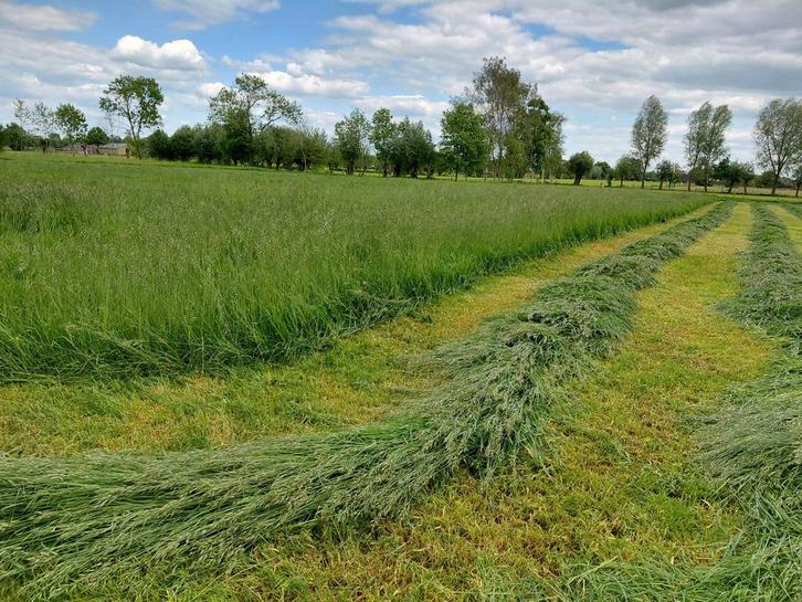 Midibalen, Dieren en Toebehoren, Dierenvoeding, Vee, Ophalen