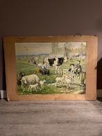 Oude schoolplaat - In de weide - Ot en Sien - door Jetses, Ophalen, Natuur en Biologie