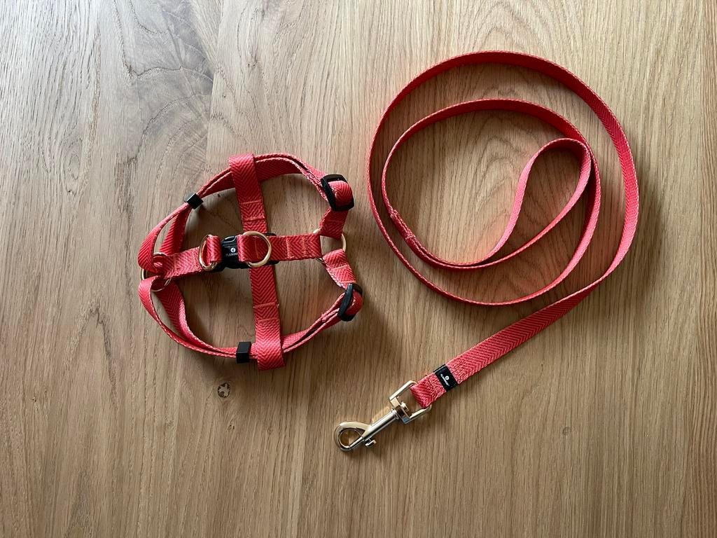 Nieuwe Flamingo tuigje, lijn en snuffelmat, Dieren en Toebehoren, Ophalen of Verzenden, Nieuw