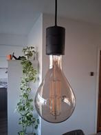 Calex filament lampen XXL gold, Ophalen of Verzenden, Zo goed als nieuw, Minder dan 50 cm