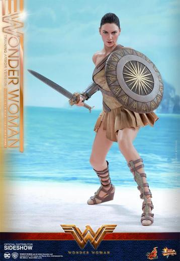 Gal Gadot Wonder Woman Training Armor Hot Toys MMS424 beschikbaar voor biedingen