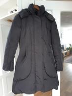 Hetrego Dames Winterjas - Maat 36/38 - Nieuw!, Ophalen of Verzenden