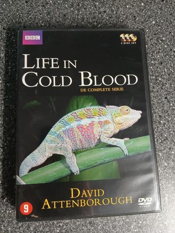 Dvd Life in cold blood - David Attenborough beschikbaar voor biedingen