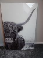 Schilderij Schotse hooglander van glas, Ophalen, Zo goed als nieuw, Schilderij, 75 cm of meer
