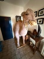 Levensgrote Kameel, Ophalen, Gebruikt