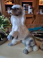 Poedel beeld porselein, Ophalen of Verzenden, Zo goed als nieuw, Dier