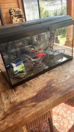 Juwel 60 liter, Ophalen of Verzenden, Zo goed als nieuw, Leeg aquarium