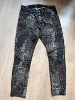 Super leuke broek met print mt 38, Kleding | Dames, Broeken en Pantalons, Ophalen of Verzenden, Zo goed als nieuw, Maat 38/40 (M)