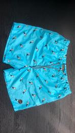 Zwembroek Shiwi maat S Heren, Kleding | Heren, Badmode en Zwemkleding, Ophalen of Verzenden, Maat 46 (S) of kleiner