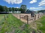 Stalling en weidegang aangeboden, Dieren en Toebehoren, Stalling en Weidegang, Weidegang