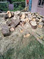 Gratis hout voor vuurkorf of openhaard, Tuin en Terras, Minder dan 3 m³, Ophalen of Verzenden, Overige houtsoorten, Blokken
