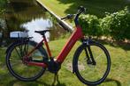 Batavus Finez Exclusive Frame 53 cm Smart ( Nieuw)Belt 625 W, Nieuw, Batavus