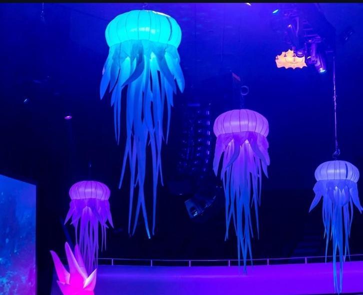 Opblaasbare Octopus en Kwallen onderwaterwereld inflatables, Hobby en Vrije tijd, Feestartikelen | Verhuur, Nieuw, Overige, Ophalen of Verzenden