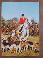 Dieren - Paarden, Ophalen of Verzenden, Ongelopen, Paard