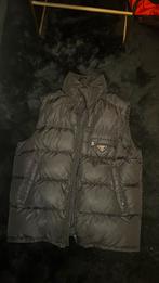 prada bodywarmer, Kleding | Heren, Bodywarmers, Ophalen of Verzenden, Zo goed als nieuw, Zwart