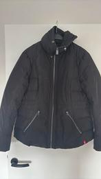 Winterjas esprit EDC zwart kort XL, Kleding | Dames, Jassen | Winter, Ophalen, Zo goed als nieuw, Maat 46/48 (XL) of groter, Zwart