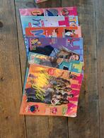 6 Tina’s en 1 Tina Zomerboek en 1 Meiden zomerboek, Ophalen of Verzenden, Gelezen