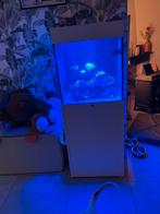 Compleet zeeaquarium met techniek, vissen en koraal, Dieren en Toebehoren, Ophalen of Verzenden, Gevuld zeewateraquarium