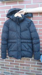 Winterjas, Ophalen, Meisje, Zo goed als nieuw, Cars