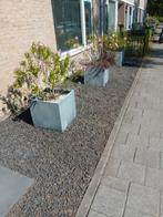 Tuinman/hovenier/tuinhulp aangeboden, Vacatures, Rijbewijs B, Overige uren, Overige branches, Overige vormen
