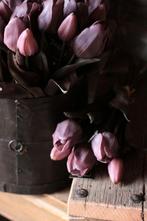 Bos tulpen purple met donker blad, Www.jufbrocante.nl, Www.jufbrocante.nl, Nieuw, Ophalen of Verzenden