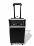 Gitaar - Zang - versterker Skytec ST-080 (accu + netstroom), Ophalen of Verzenden, Gebruikt, Minder dan 500 watt, Monitor(versterker)