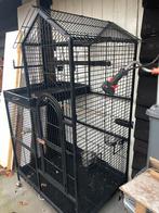 Mooie ruime papegaaienkooi, Dieren en Toebehoren, Ophalen, Gebruikt, Metaal, Vogelkooi