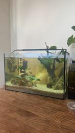 Aquarium scape, Ophalen, Zo goed als nieuw, Leeg aquarium