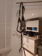 Borsttuig en hoofdstel, Dieren en Toebehoren, Ophalen of Verzenden, Zo goed als nieuw, Springen